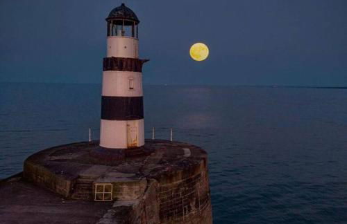 The Seaview - South Shields - Foto 45