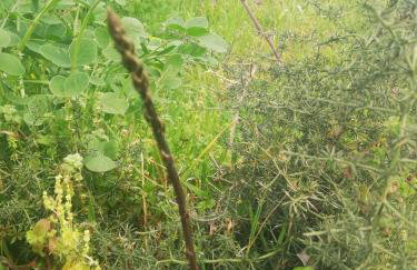 Le Grotte di Sileno - Foto 69