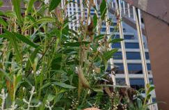 Gemütliche Idylle am Seddinsee - Foto 2