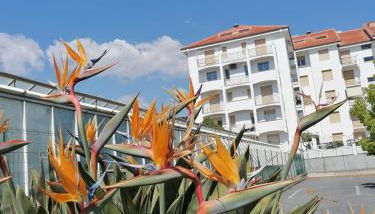 Mare Verde Alloggio con terrazza - Foto 2