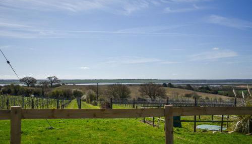 Periwinkle No5 - Uk49249 - Foto 2