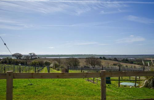 Periwinkle No5 - Uk49249 - Foto 2