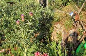 Mary's Garden - Foto 32