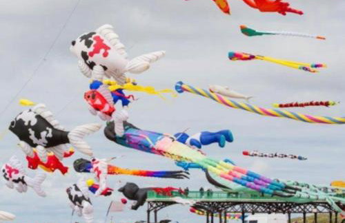 Seaside Serenity - Photo 38