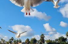 Villa Ange Azur 2 - Foto 46