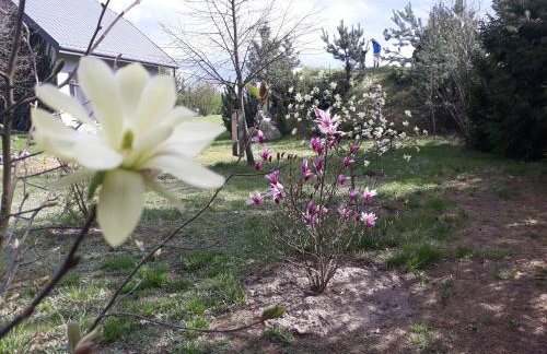 Pucówka na skraju Puszczy Białowieskiej - Foto 24