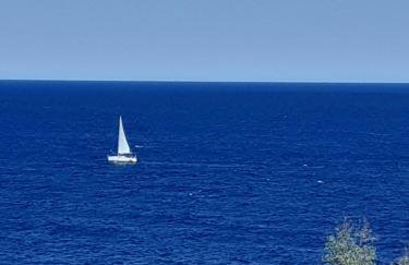 Studio Kalogridis - Foto 28