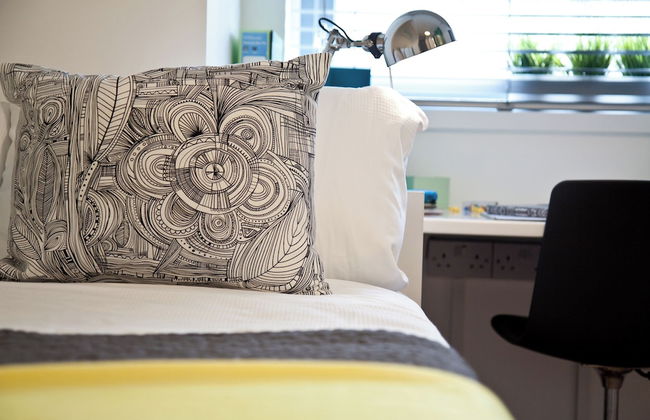 Student Only OLIB - Foto 8