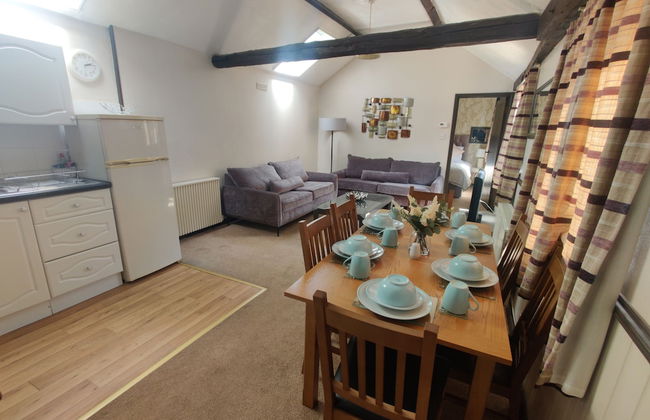 Birds Farm - Foto 33