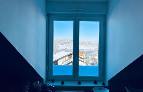 La Gentiane bleue, vue lac Saint Point - Foto 4