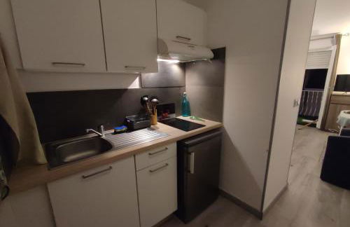 studio cosy la Dacquoise centre-ville internet haut-débit - Foto 10