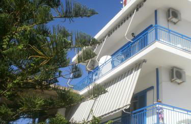 Sunrise Flora - Foto 9