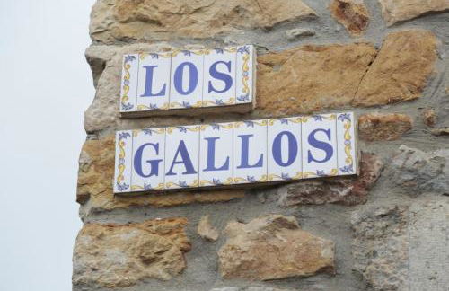 Los Gallos - Foto 8