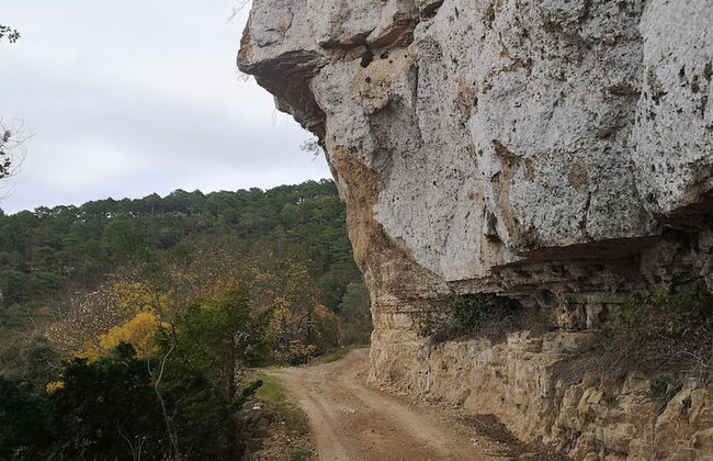 Mas de l'Arlequi Casa rural - Foto 25