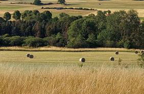 Maries bunte Villa - Foto 37