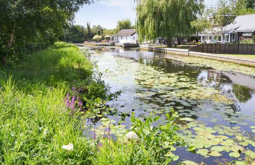 Silver Birches-Af46 - Foto 14