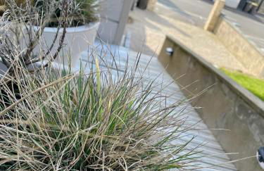 la Margaret Face mer - Foto 56