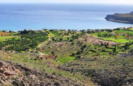 Dimitra Apartments Zakros Village - Photo 49