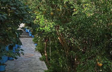 Giannis Gerakios apartments by climbing house - Photo 12