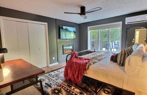 Biltmore Forest Retreat Sauna Hot tub Game Rm - Foto 39