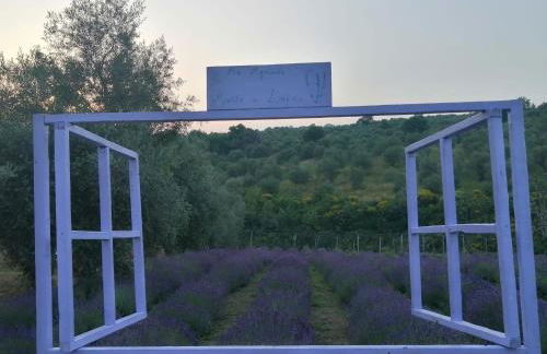 #3MTSOPRAILCIELO '' SCuLPTuRe '' - Foto 76