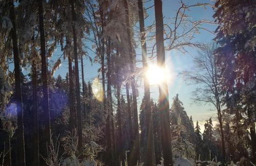 4 Michael Weiß Comfortable holiday residence - Foto 17