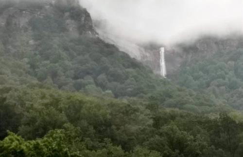 Treetops Cabin-Peaceful 1BR 20-Acre Rural Retreat-HotTub-WiFi-Near Asheville - Foto 12