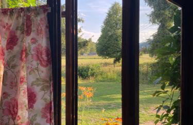 Stara Szkoła - Foto 9