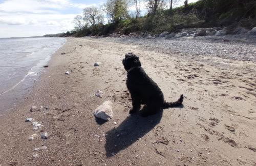 Ferienhaus Ebsen HH links - Foto 20