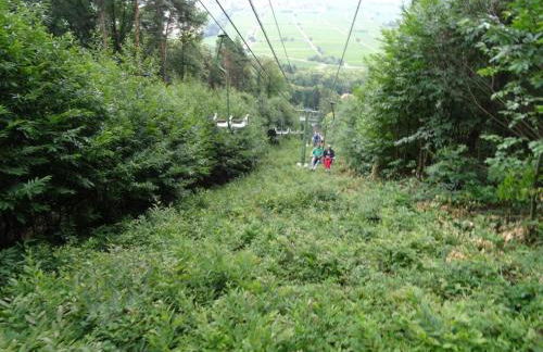 Phönix aus der Asche - Foto 33