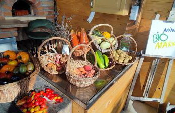 Tweet Apartments with Sauna and optional Breakfast Close To Terme Sveti Martin - Foto 8