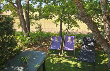 Au cœur de la provence - Foto 5