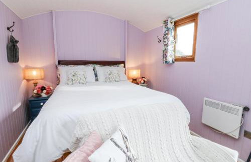 Brondel Luxury Shepherd's Hut - Foto 9