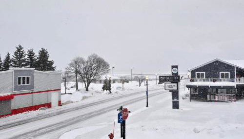 Pier Harbor #1 - Foto 3