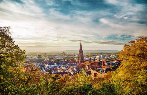 Citynahes Apartment für die ganze Familie oder Gruppen in ruhiger Lage - Foto 10