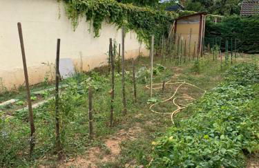 T2 indépendant proche OL Stadium et salle LDLC Arena - Foto 7