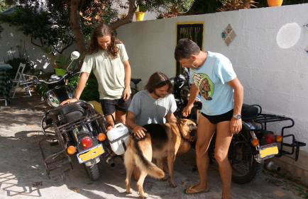 Zagara di Sicilia - Foto 144