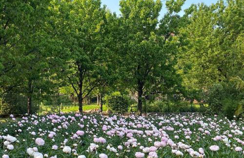 Villa Mi, Rukavac Opatija Riviera - Photo 33