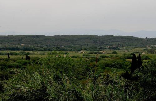 Angelina's Family Home - Foto 6