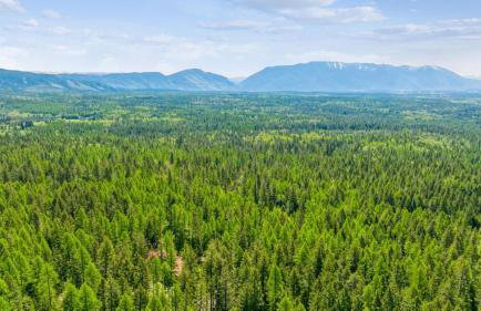 Northwoods Escapes - Foto 40