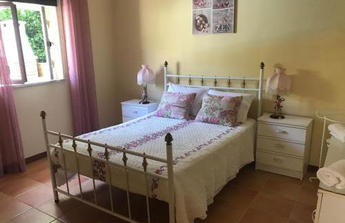 Ribeirinho da Serra - Foto 28