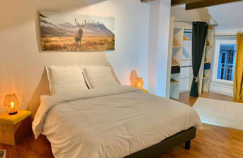 Le Terrier du Katz - Photo 6