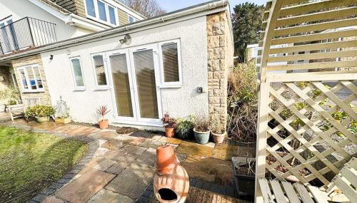 Little Dragons - Foto 3