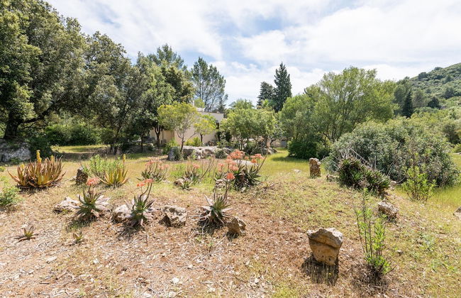 Can Company in Campanet - Foto 34