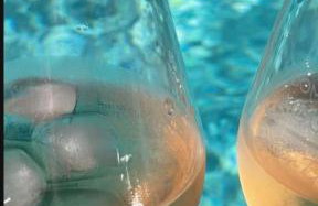 Vila Green Silence - Photo 58