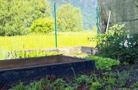 Apartment in Somaggia - CasaCamillo - Foto 15