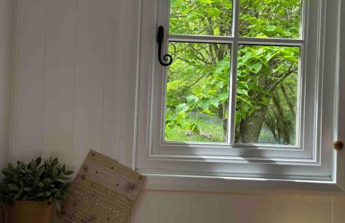 Cornwall Woodland Shepherd's Hut with Hot Tub - Deirdres Hut - Foto 19