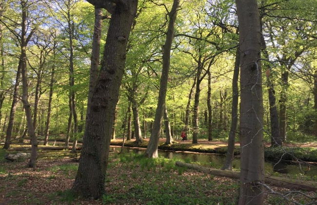 Luxurious Apartment Near the Pleasant Centre of Bergen - Foto 28