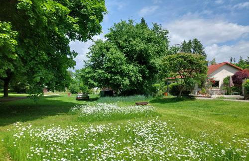 Ferienwohnung Dürmentingen Viola - Foto 11