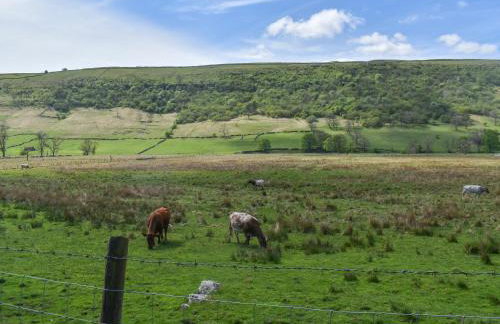 Horseshoe Cottage - Foto 13